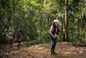 BIB: 
                            <button type="button" onclick="openModal(18990701)" class="btn btn-primary btn-sm float-right btn-popup" data-toggle="modal" data-target=".modal-high-quality">
                        <i class="fas fa-shopping-cart"></i> Add to Cart
                    </button>
                                            <button type="button" onclick="isThisMe(18990701, true)" class="btn btn-success btn-sm float-right btn-popup btn-isme hidden" data-toggle="tooltip" data-placement="bottom" title="นี่คือรูปของคุณใช่ไหม คลิกที่นี่เพื่อเอาเข้าอัลบั้ม">
                        <i class="fas fa-plus"></i> Add to album
                    </button>
                    <button type="button" onclick="isThisMe(18990701, false)" class="btn btn-warning btn-sm float-right btn-popup btn-isnotme hidden">
                        <i class="fas fa-ban"></i> Remove from album
                    </button>